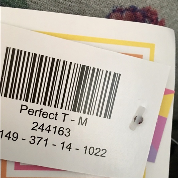 LuLaRoe Lindsay paired with a Perfect T. - Picture 4 of 7